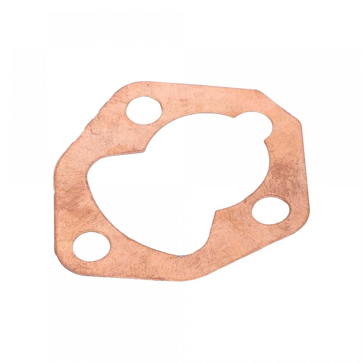 170 F Dizel 5HP Mazot Pompa Şimi