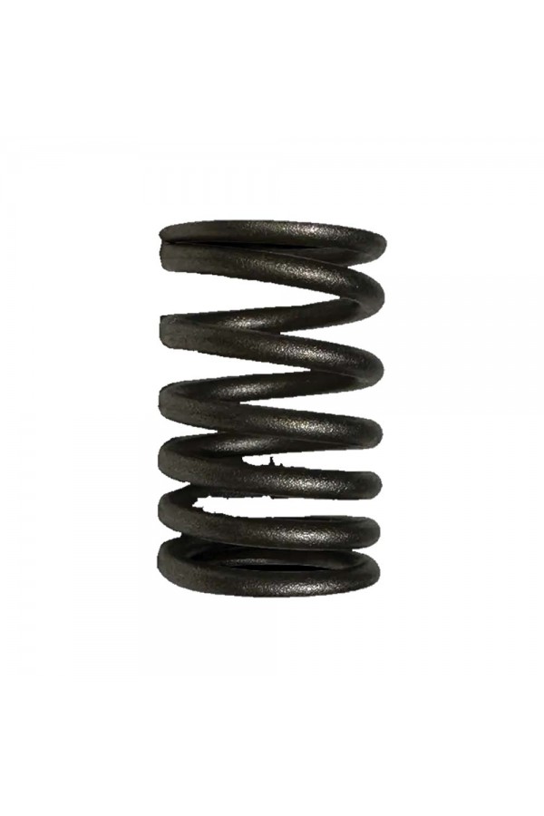 170 F Dizel 5 HP Subap Yayı (Adet) 170 F Dizel 5 HP Subap Yayı (Adet)